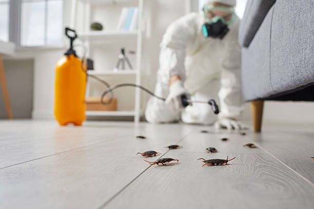 Commercial Rodent Management in New Buffalo